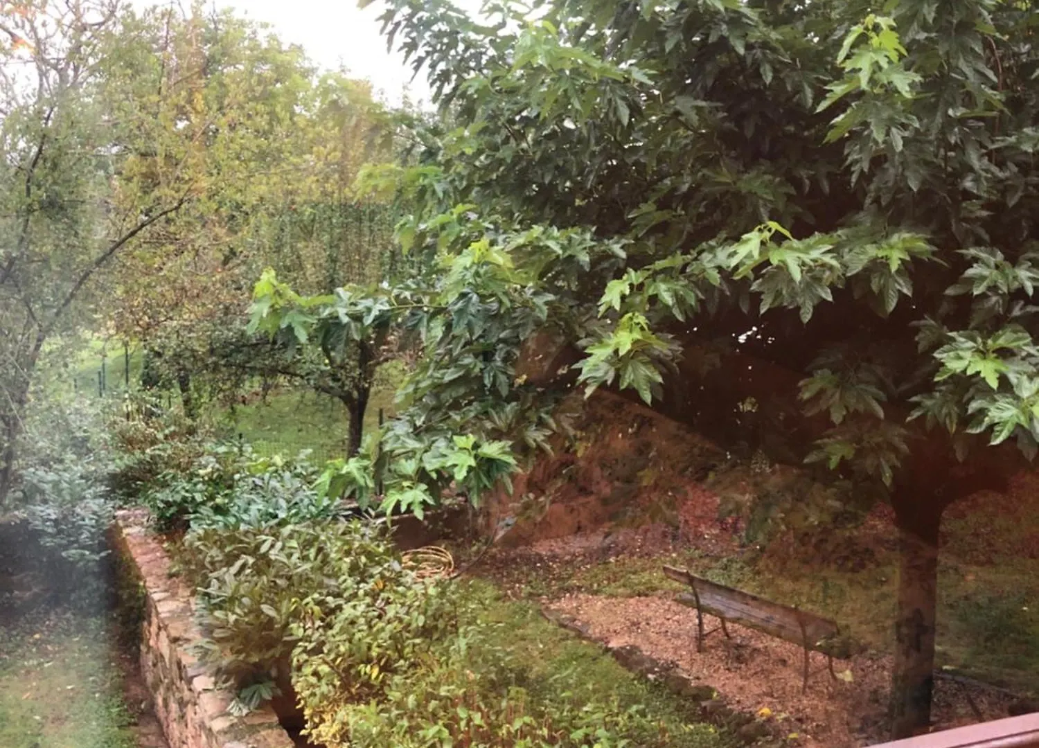 Bed & Breakfast Ecuries De Saint Maurice- Maison D'Hotes De Gondou Lacapelle-Marival